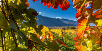 Viaggio d’autunno: Svizzy nella terra di Heidi