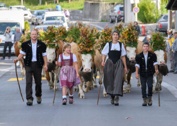 Una grande festa nel Simmental