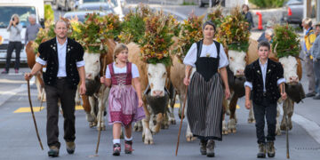 Una grande festa nel Simmental