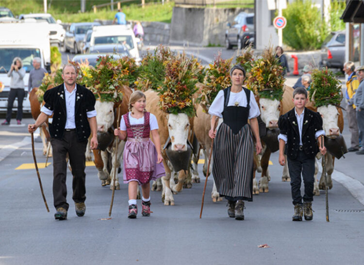 Una grande festa nel Simmental