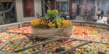 A Zurigo sbocciano rose di speranza