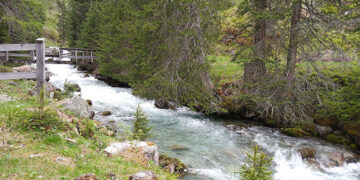 Svizzy in viaggio: Il paese dei treni