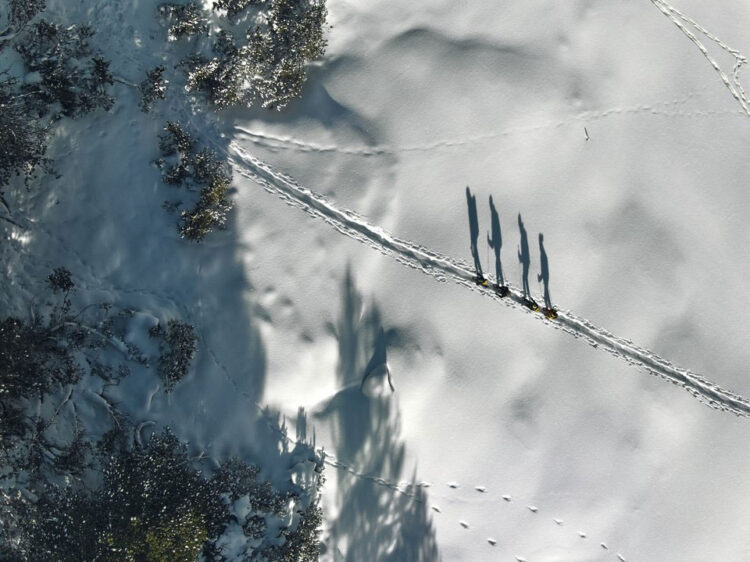 Camminare nel silenzio in Bassa Engadina