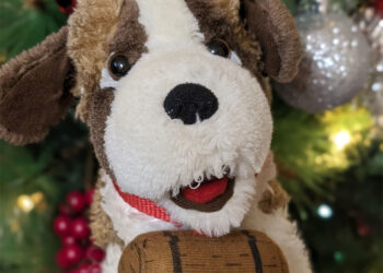 TANTI AUGURI AGLI SVIZZERAMICI