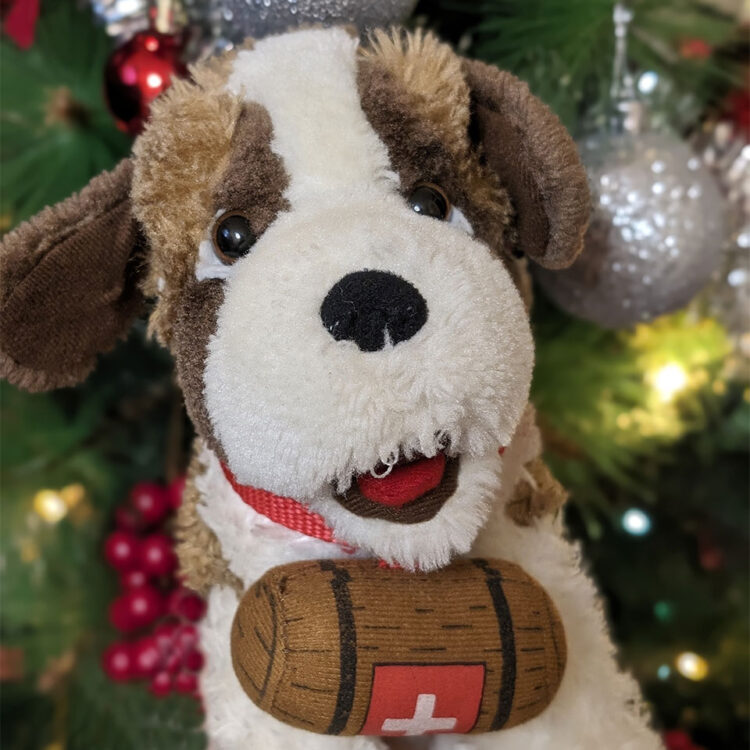 TANTI AUGURI AGLI SVIZZERAMICI