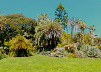 Uno svizzero in Riviera