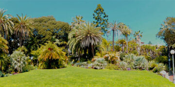 Uno svizzero in Riviera