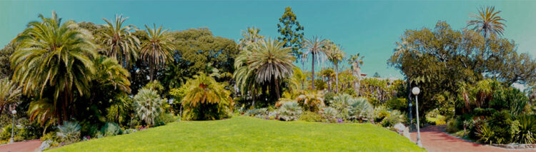 Uno svizzero in Riviera