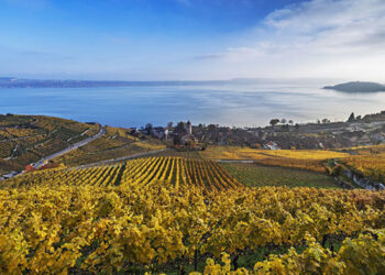 In Canton Berna sulle tracce di Friedrich Dürrenmatt.