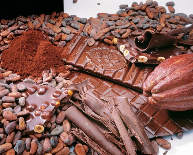 Natale in Svizzera tra mercatini e cioccolato: 7 consigli dove farai il pieno di gusto