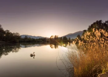 Sustainevents: turismo sostenibile tra Italia e Svizzera sul Lago Maggiore e in Ticino