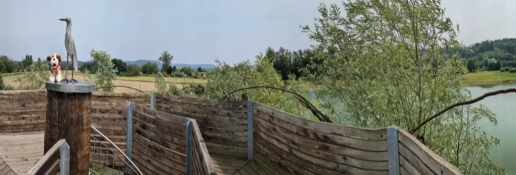Piste ciclabili in Canton Argovia: pedalare tra fiumi, castelli e foreste