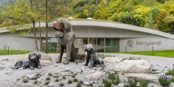 Barryland: l’universo dei San Bernardo ti aspetta a Martigny