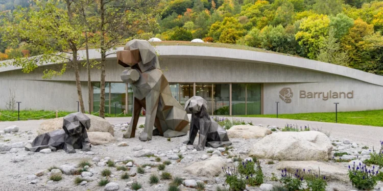 Barryland: l’universo dei San Bernardo ti aspetta a Martigny