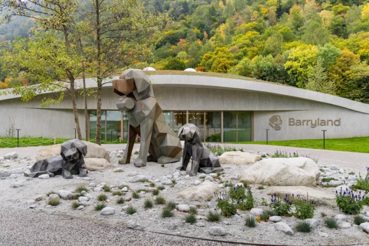 Barryland: l’universo dei San Bernardo ti aspetta a Martigny