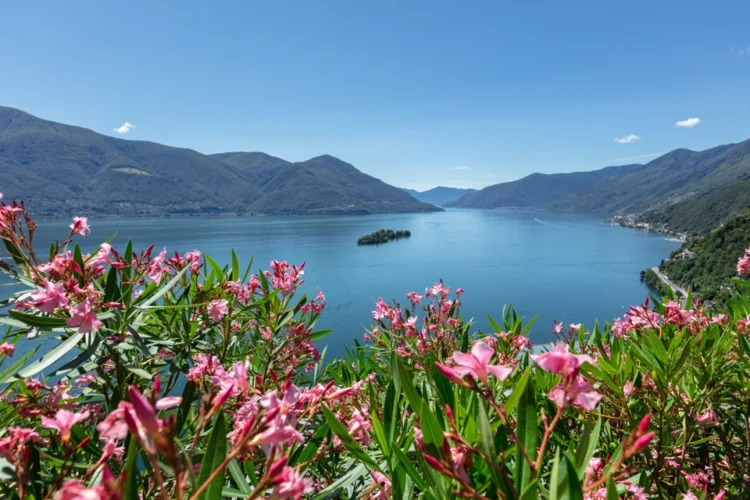Turismo sostenibile Italia-Svizzera: i progetti Interreg che uniscono le Alpi
